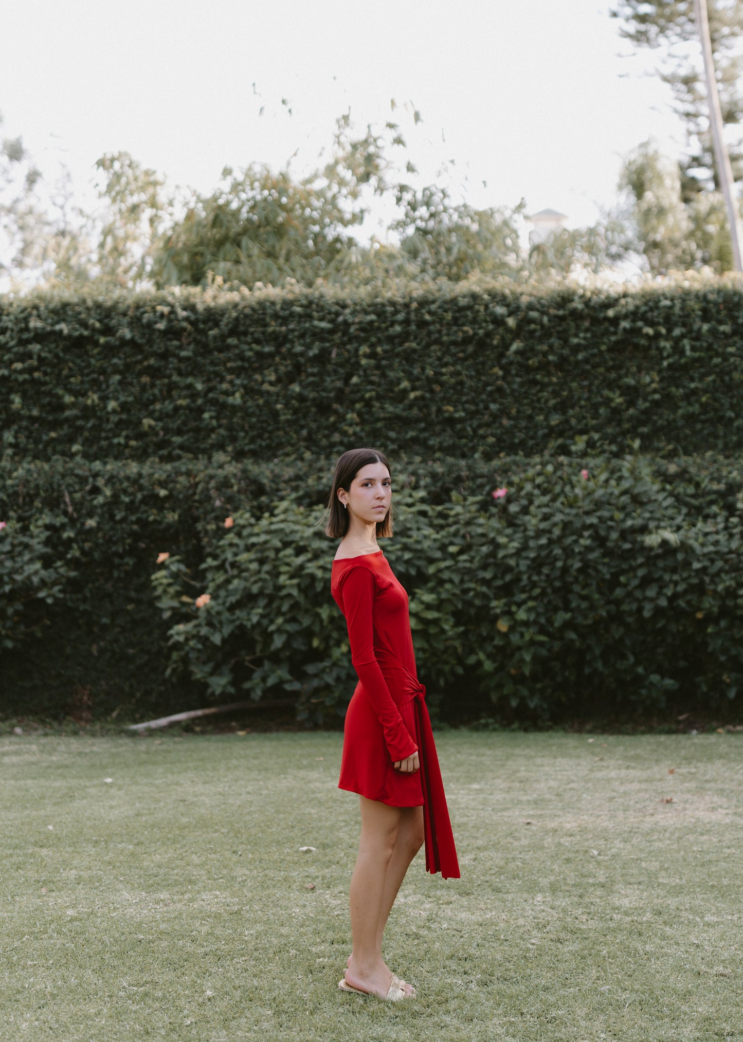 Cassandra Dress