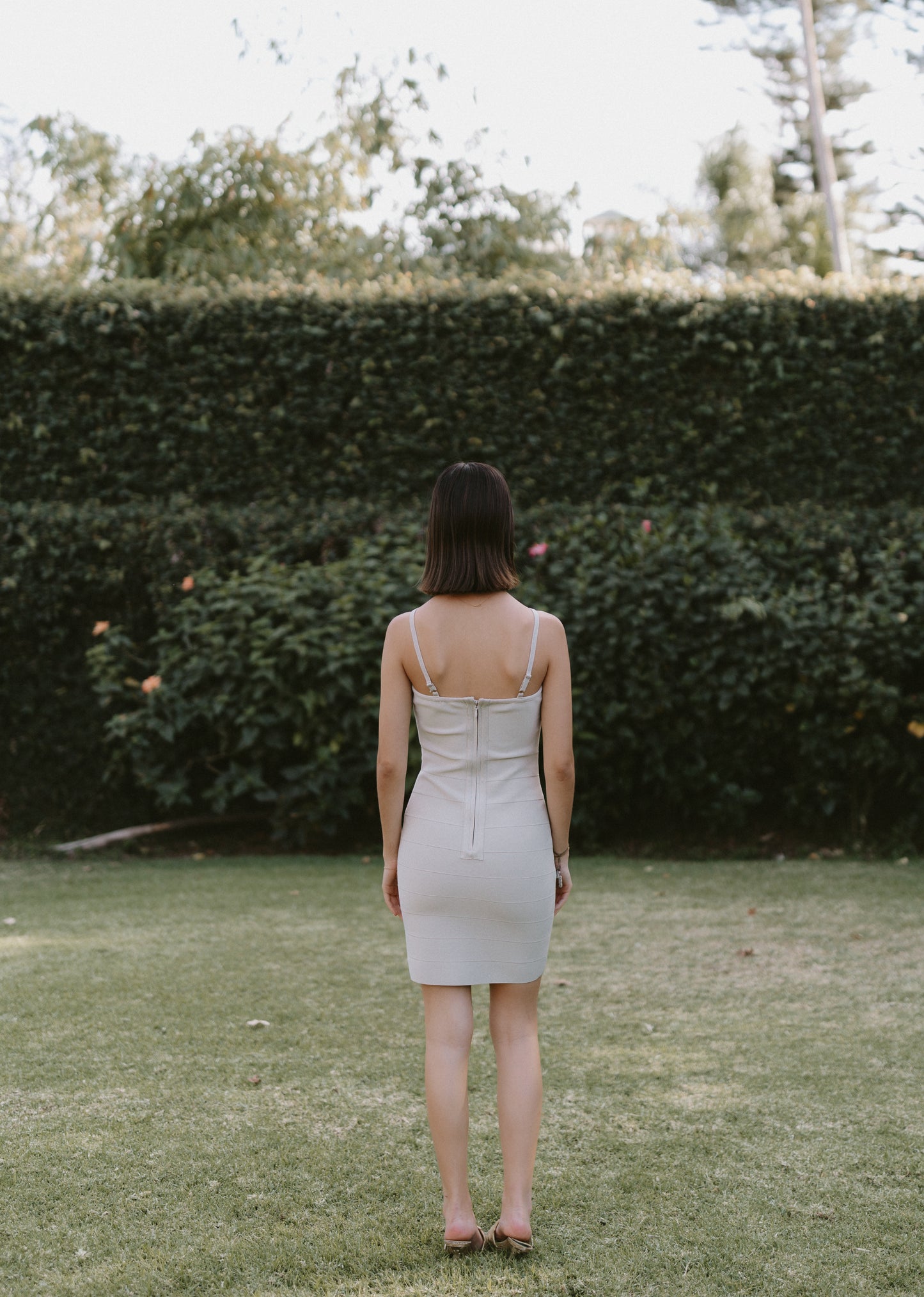 Ivy Dress